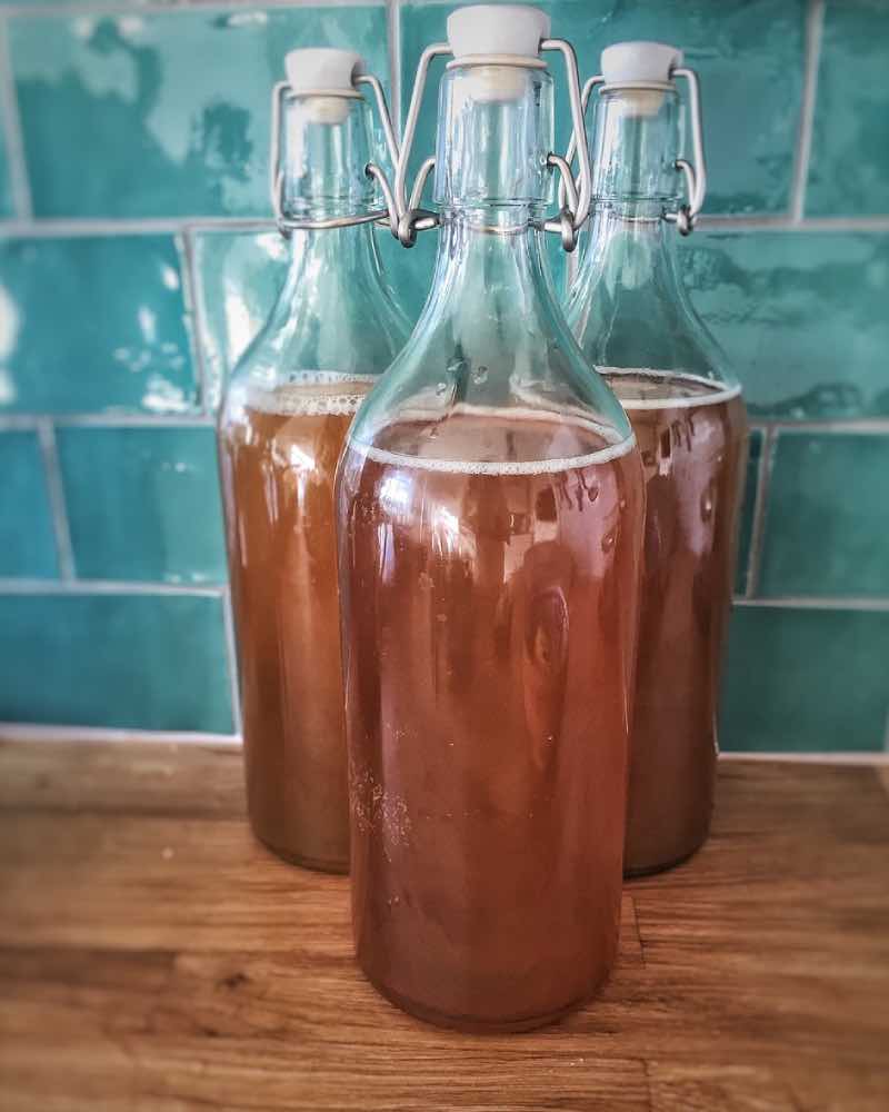 Three bottles of kombucha