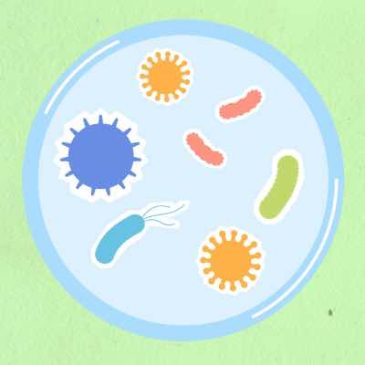 Helicobacter Pylori (H Pylori): Reducing Risks with a Healthy Diet
