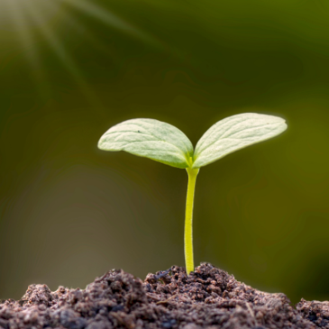 Why Your Health Is Your Greatest Asset