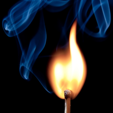 What is “Inflammaging”?