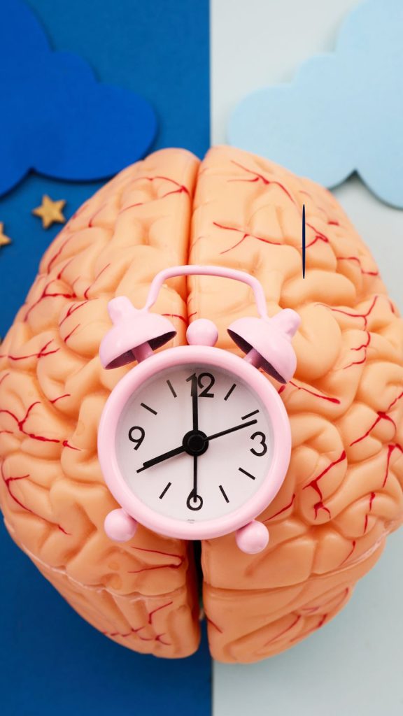 A brain with a clock in it, depicting sleep patterns